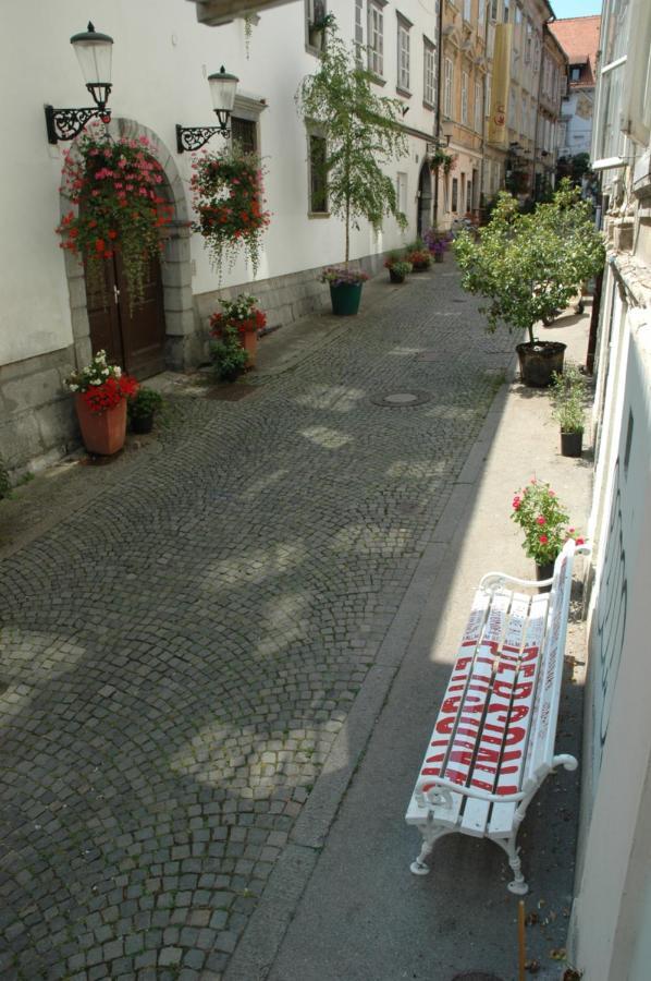 Vitez Apartment I Laibach Exterior foto
